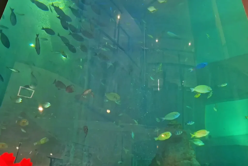 베이사이드 플레이스 하카타 수족관